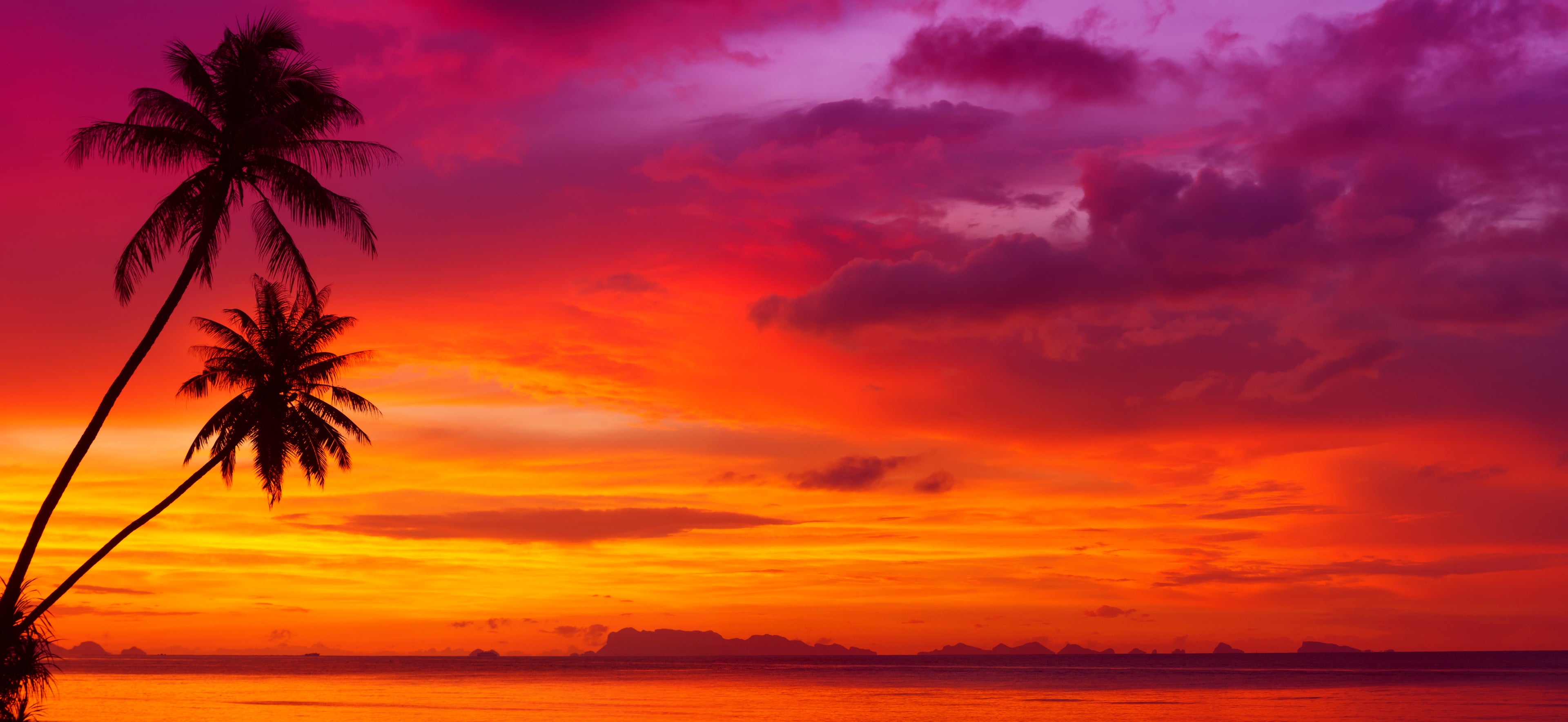 A vibrant orange, red and purple sunset above a tropical beach with two palm trees on the left.
